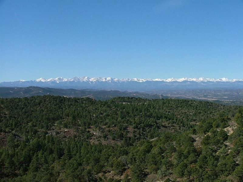 50 Santa Fe Trail Ranch : Trinidad : Las Animas County : Colorado