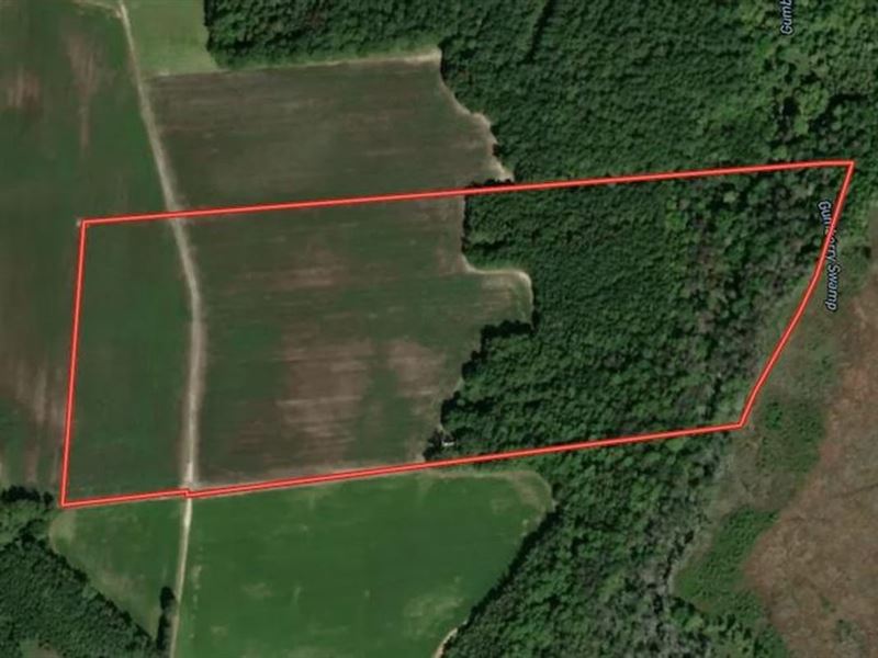 41 Acres of Farm : Jackson : Northampton County : North Carolina