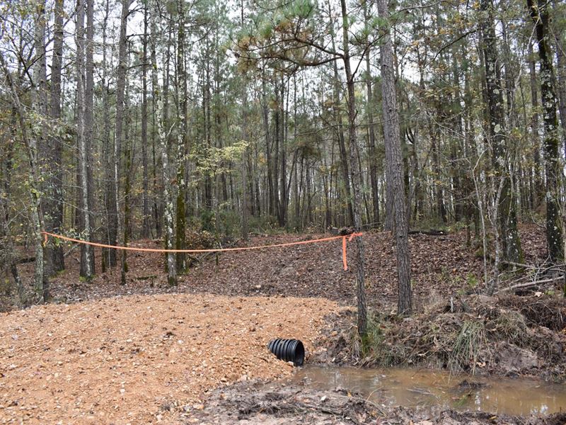 18.80 Acres in Reader, Arkansas : Reader : Ouachita County : Arkansas