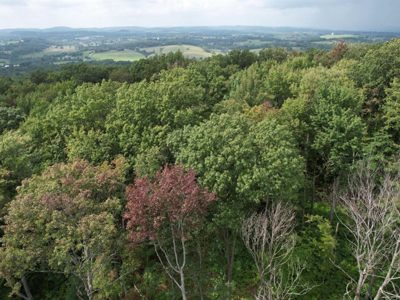 Route 982, Latrobe, 47.9 Acres : Latrobe : Westmoreland County : Pennsylvania
