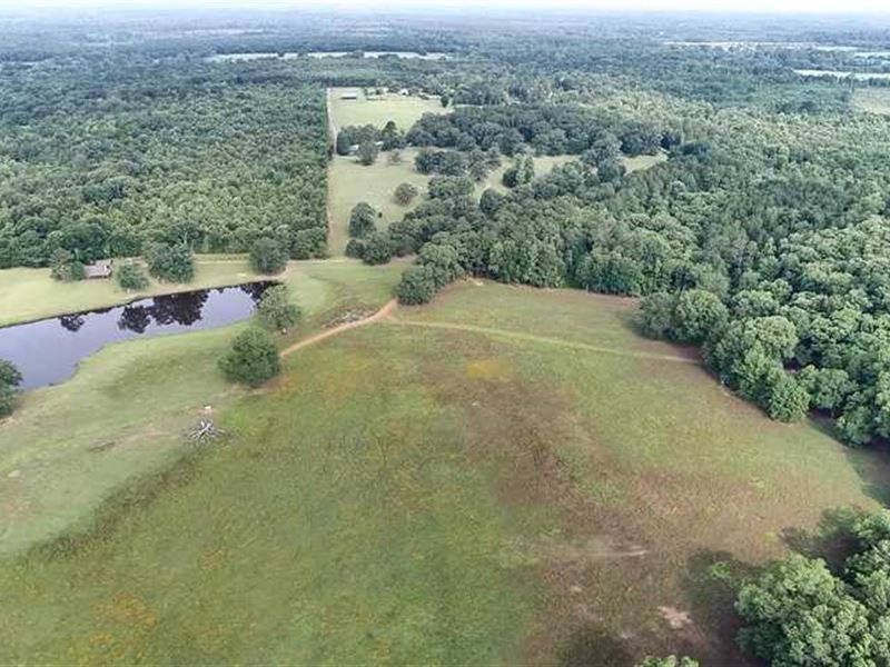 989 Acre Taylor Mud Creek Hunting : Reklaw : Cherokee County : Texas