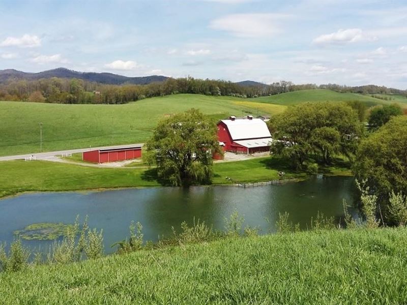 Pond 16 Acres in Smyth County, VA : Rural Retreat : Smyth County : Virginia
