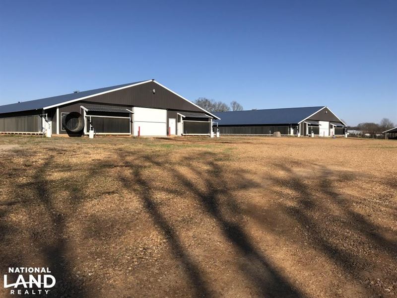 Chicken Farm : Forest : Scott County : Mississippi