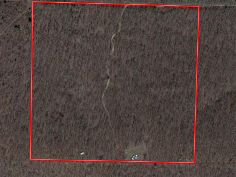 Land for Sale with Two Cabins : Alton : Oregon County : Missouri