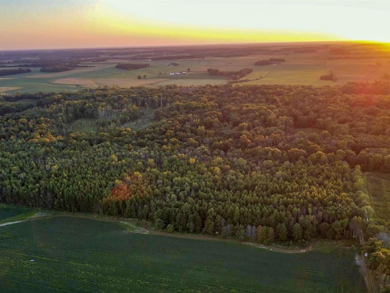 Bonpas Bottoms 116 : Parkersburg : Wabash County : Illinois