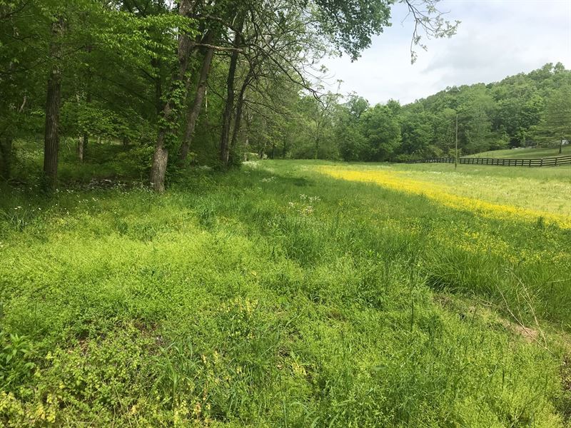 Land for Sale in Leipers Fork : Franklin : Williamson County : Tennessee