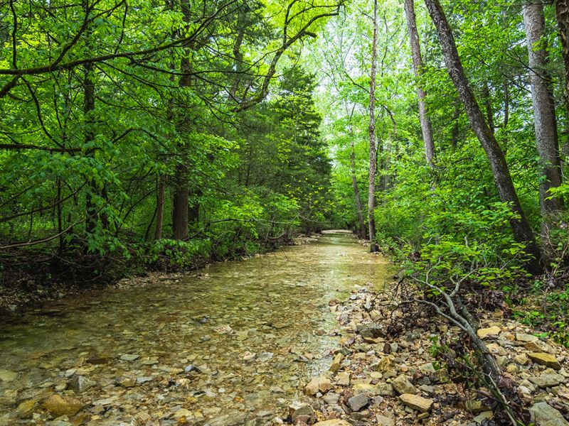 Prime Hunting Land, Live Water : Gainesville : Ozark County : Missouri