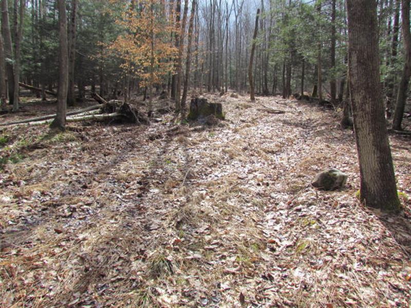 83 +/- Acres, Mostly Wooded : Shickshinny : Luzerne County : Pennsylvania