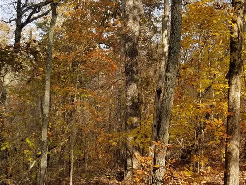 Hawkins Hideaway : Roanoke : Randolph County : Alabama