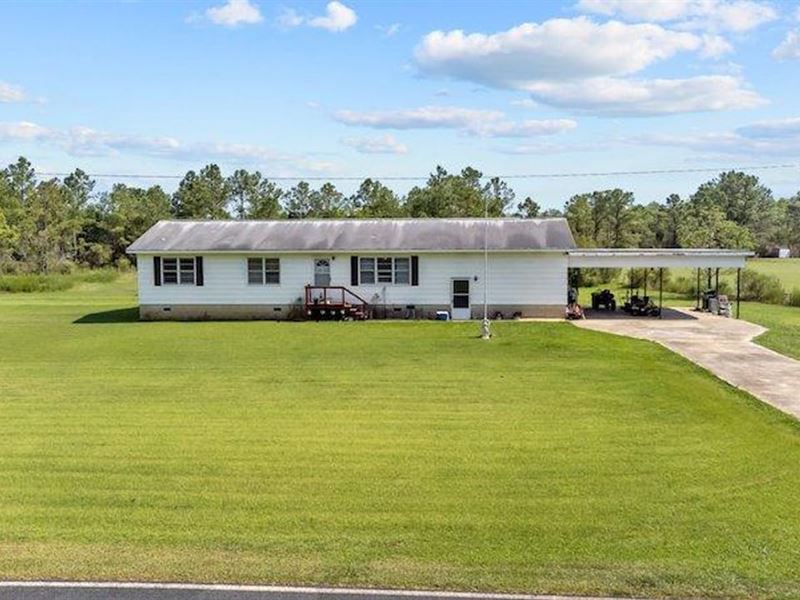 10 Acres of Residential Timberland : Lowland : Pamlico County : North Carolina