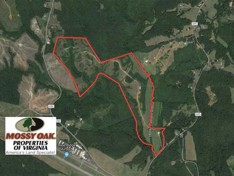 185 Acres Recreational Hunting : Martinsville : Henry County : Virginia