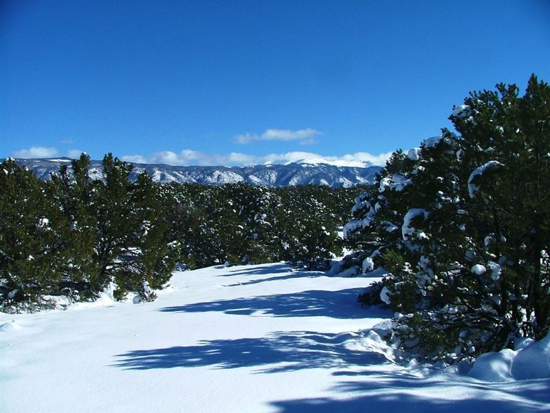 7 Milligan Ranch : Gardner : Huerfano County : Colorado