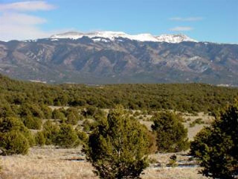 11 Milligan Ranch : Gardner : Huerfano County : Colorado