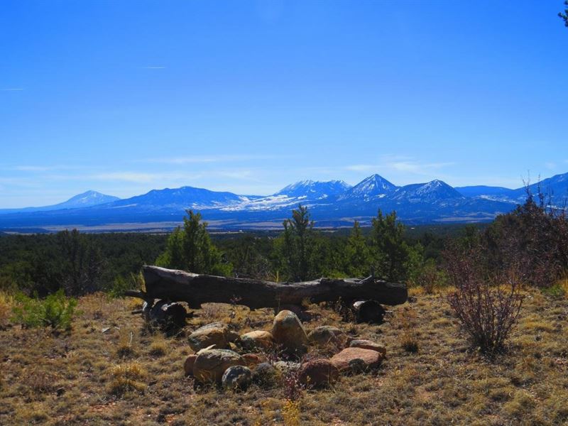 9 Milligan Ranch : Gardner : Huerfano County : Colorado