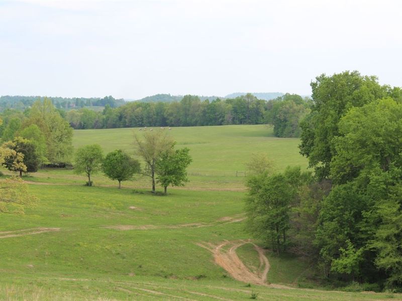 327 Acre Edmonson Kentucky Crop : Round Hill : Edmonson County : Kentucky