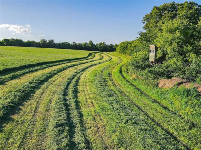 120 Acres Knox County Hunting Land Ranch for Sale in Verdigre, Knox