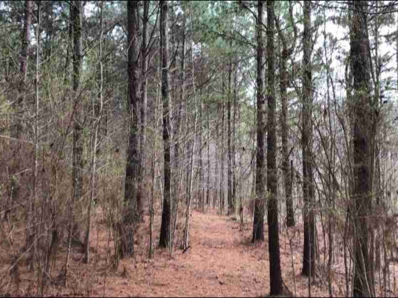 40.40 Acres in Rankin County in Bra : Brandon : Rankin County : Mississippi