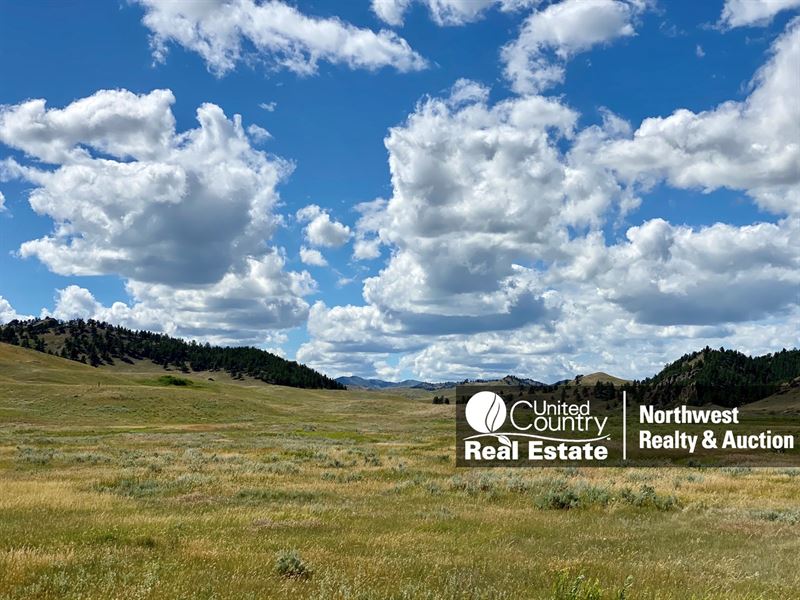 Little Bullwhacker Grazing & Milk : Harlem : Phillips County : Montana