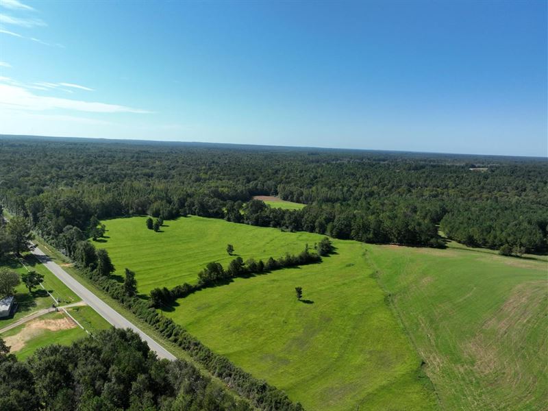 104 Acres in Butler Co Hay Fields : Greenville : Butler County : Alabama