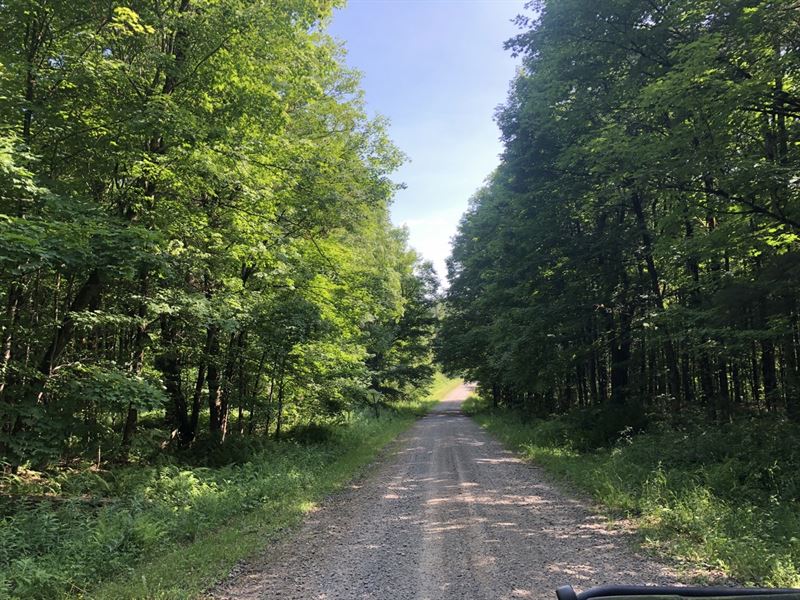 Perfect for North Country Hunters : Redfield : Oswego County : New York