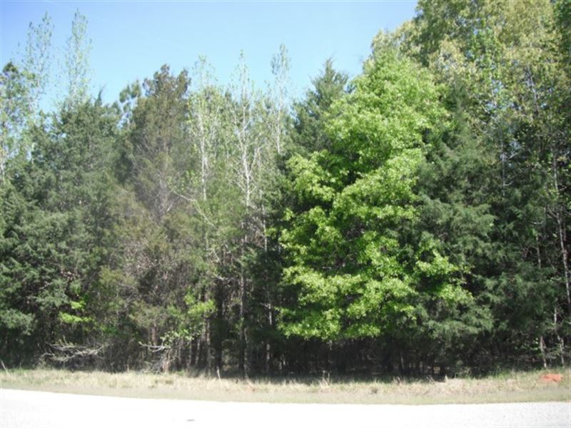 15 Acres, Fairfield County, Sc : Winnsboro : Fairfield County : South Carolina