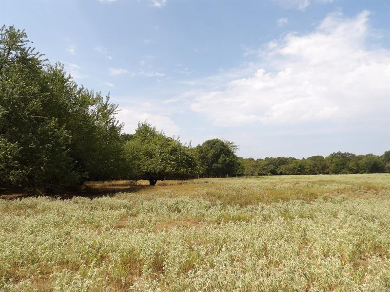 Ranch and Recreational 520 Acres Bo : Boswell : Choctaw County : Oklahoma