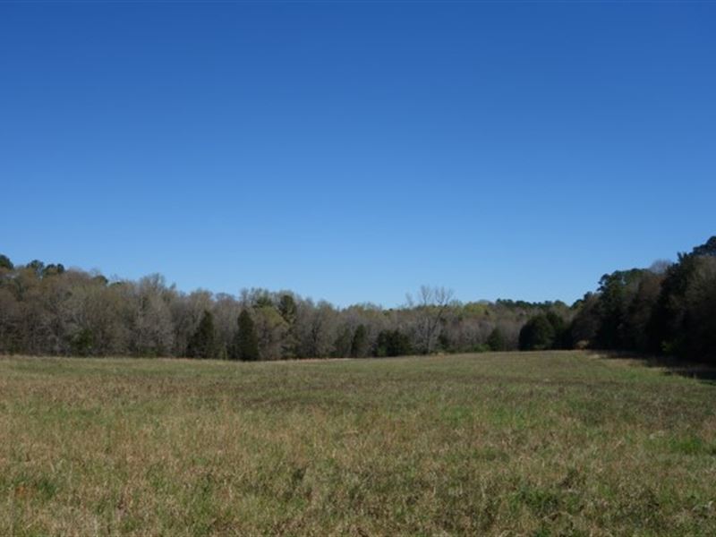 Rock Hill Land, York County : Rock Hill : York County : South Carolina