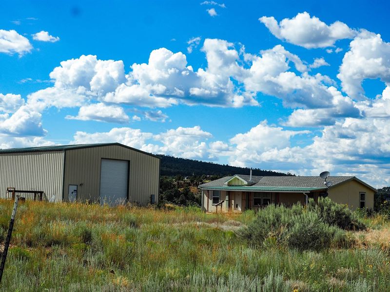 Country Home Acreage El Vado Lake, Ranch for Sale in New Mexico
