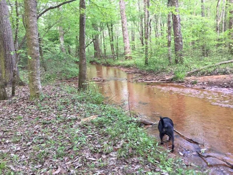 Camp Creek Tract : Highland Home : Crenshaw County : Alabama