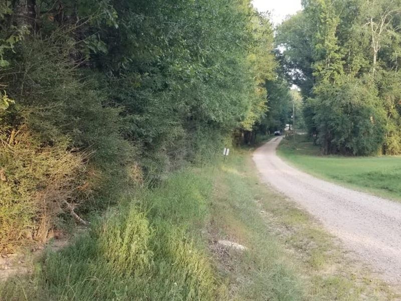 Womack Road Land, Winn Parish, 73.5 : Sikes : Winn Parish : Louisiana