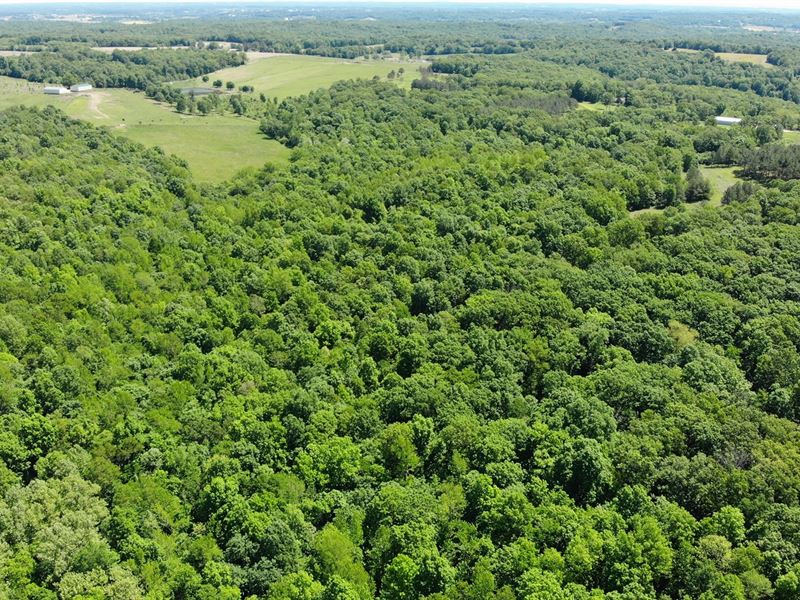 Hunting Property Cabin Cape : Whitewater : Cape Girardeau County : Missouri