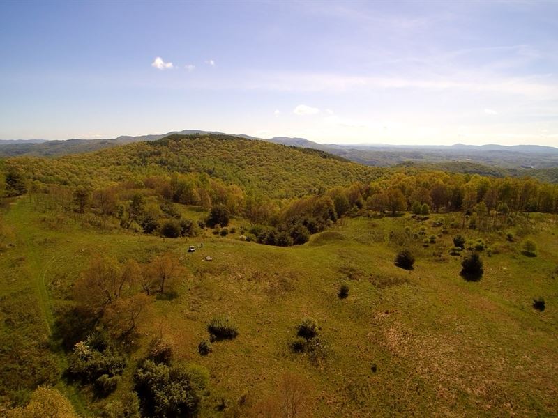 Large Acreage, Trout Stream : Mouth Of Wilson : Grayson County : Virginia