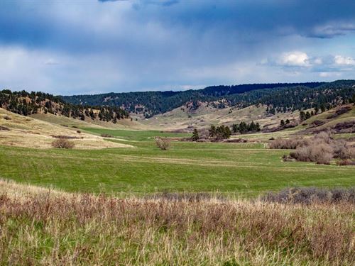 Thompson Creek Ranch : Busby : Big Horn County : Montana