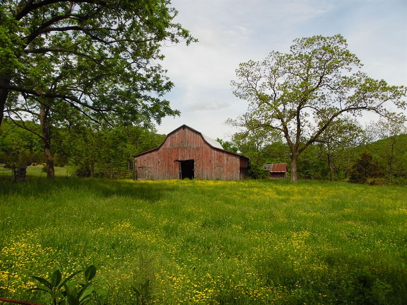 Missouri Ozarks Farm for Sale : Dora : Douglas County : Missouri