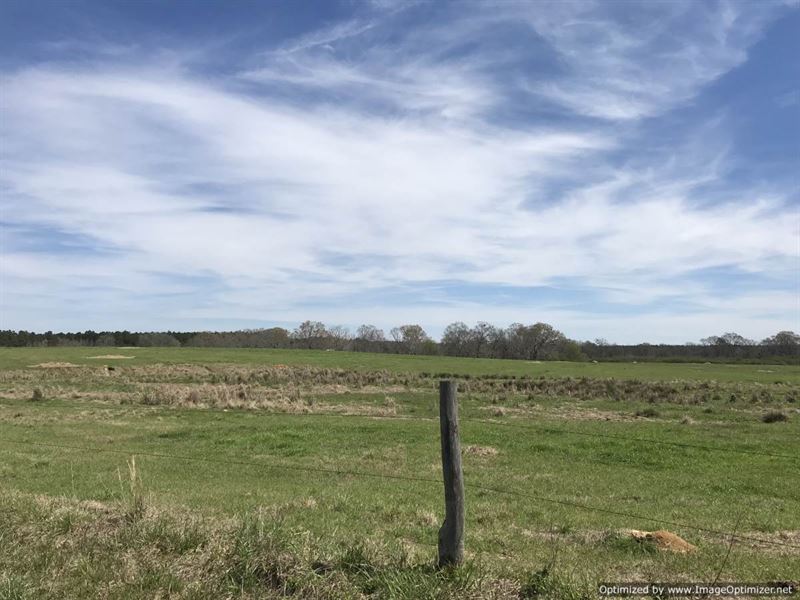 Cows, Horses and Homesites : Wesson : Lincoln County : Mississippi