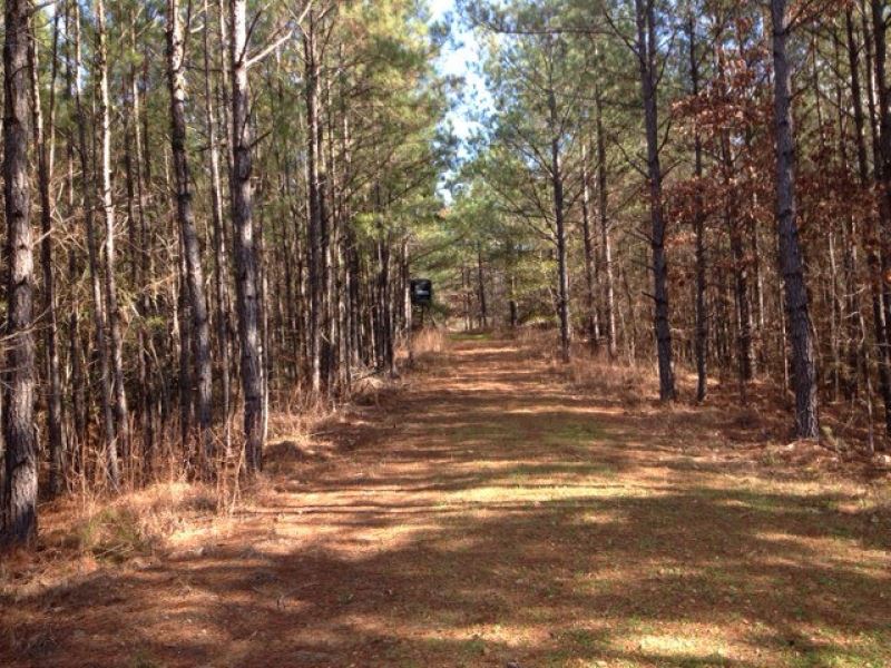 218 Acres Woodville MS : Woodville : Wilkinson County : Mississippi