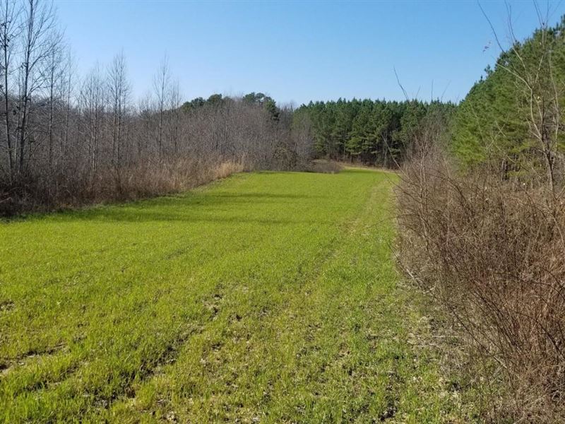 1154 Acres Preserved Tn Land : Sherwood : Franklin County : Tennessee