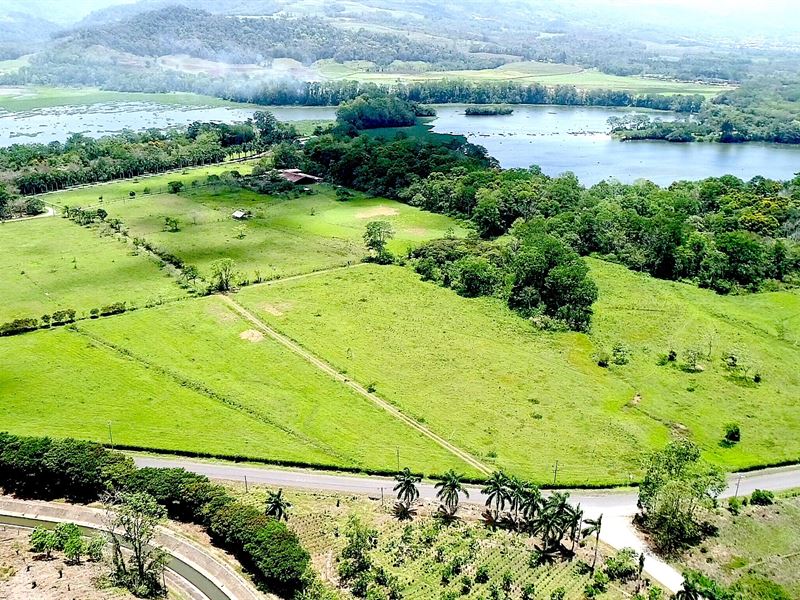 Coffee Plantation Costa Rica For Sale / Find ground at Costa