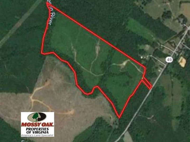 Under Contract, 83 Acres of Hunti : Chase City : Lunenburg County : Virginia