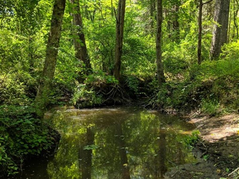 21 Acres, Chester County, Sc : Chester : Chester County : South Carolina