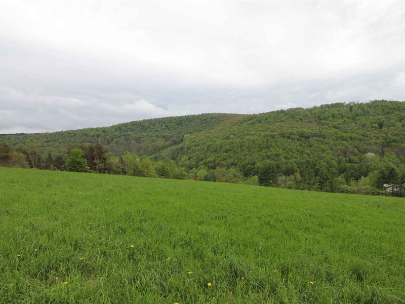 Catskills Mixed, Use Acreage : Franklin : Delaware County : New York