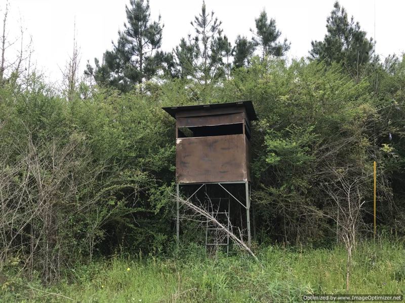 Prime Hunting : Meadville : Franklin County : Mississippi