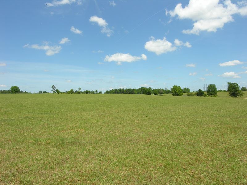 819 Acres On Brier Creek : Waynesboro : Burke County : Georgia