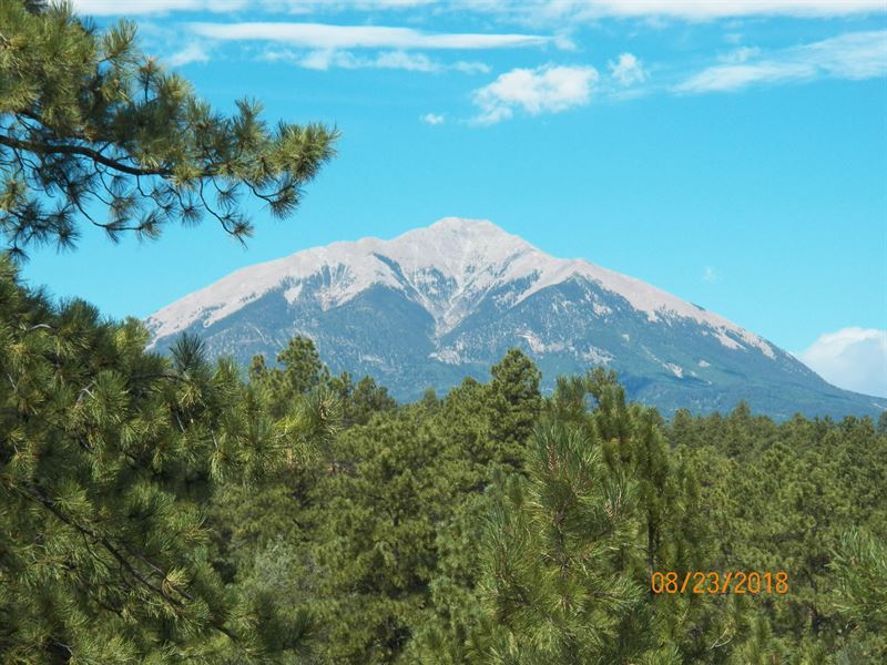 Amazing Spirit Mountain Ranch Lot : Aguilar : Las Animas County : Colorado