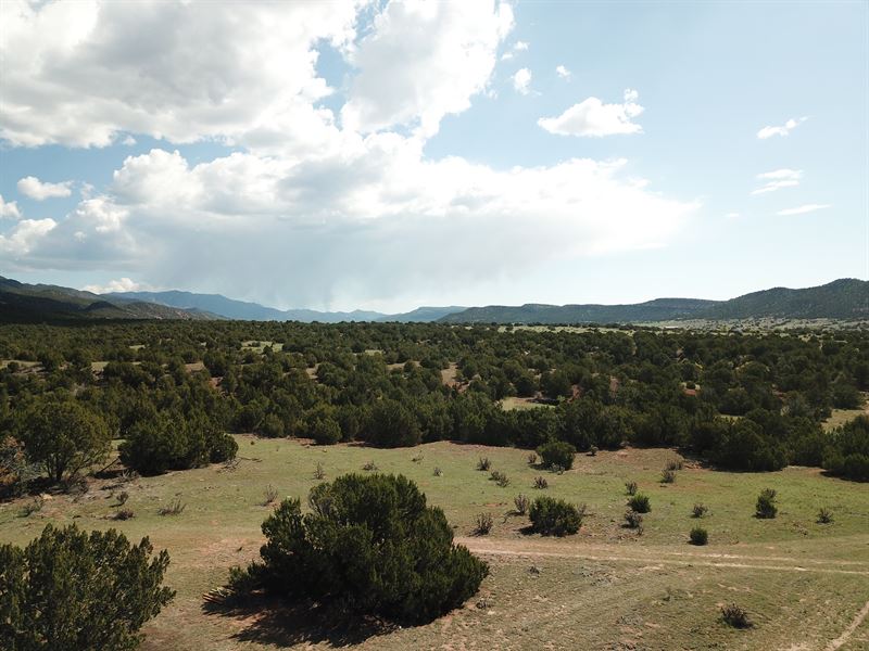 Red Cliff Ranch, Adjoins Blm Land : Penrose : Fremont County : Colorado