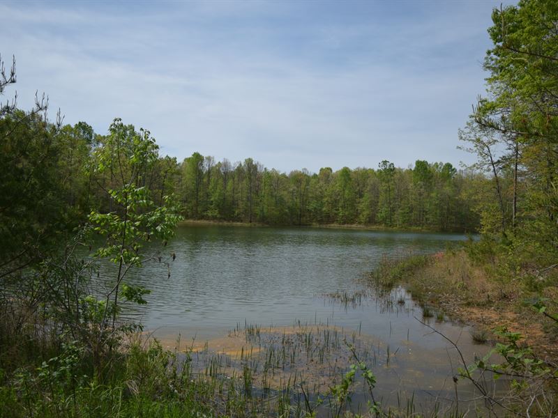 Infinite Possibilities : Altamont : Grundy County : Tennessee