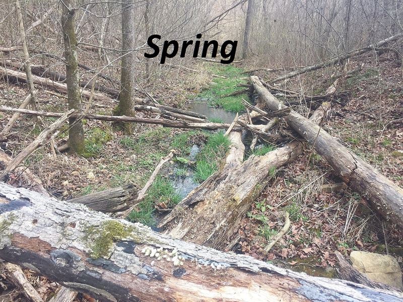 Off Grid in The Ozark Mountain : Yellville : Marion County : Arkansas