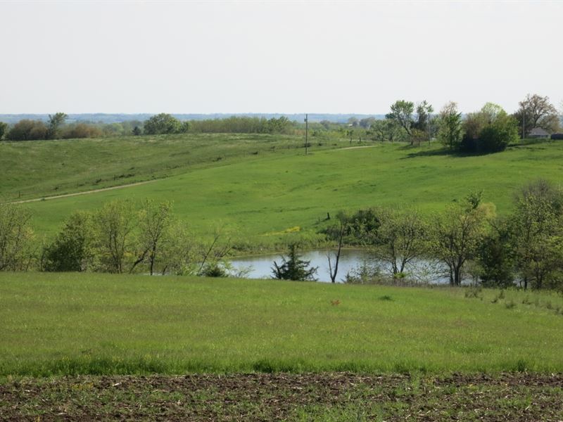 Crp Farm Hunting Opportunity : Cainsville : Mercer County : Missouri