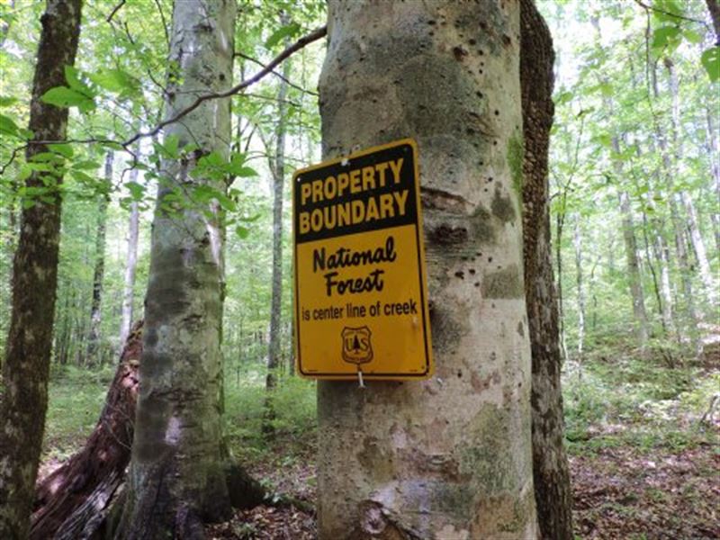Oconee National Forest Tract : Monticello : Jasper County : Georgia