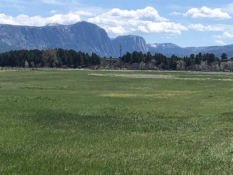 Irrigated Land Brazos Cliff Views : Los Ojos : Rio Arriba County : New Mexico